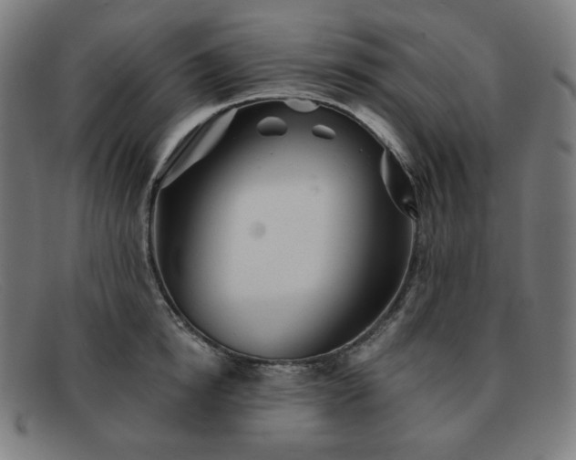 X0000091890854200709121438