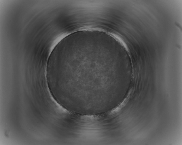 X0000091890855200709121438