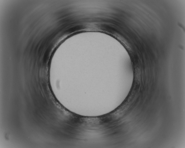 X0000091890856200709121438