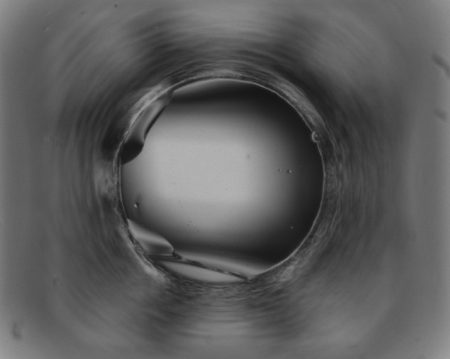 X0000091890858200709121438