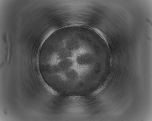 X0000091890859200709121438
