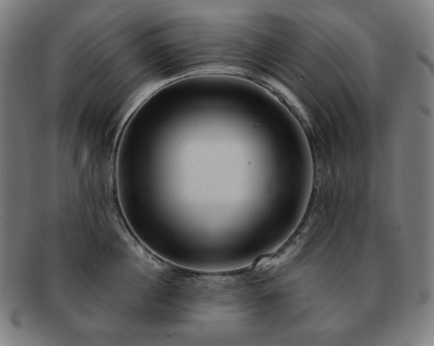 X0000091890860200709121438