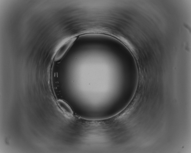 X0000091890862200709121439