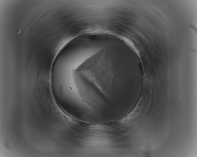 X0000091890863200709121439