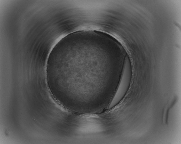 X0000091890864200709121439