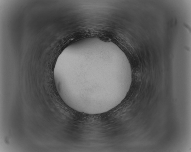 X0000091890865200709121438
