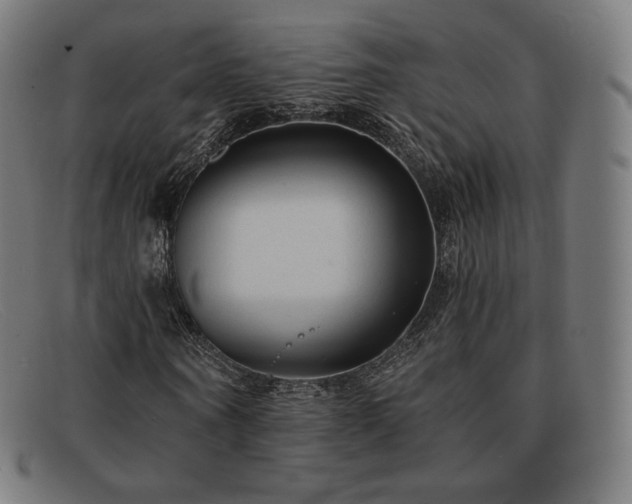 X0000091890866200709121438