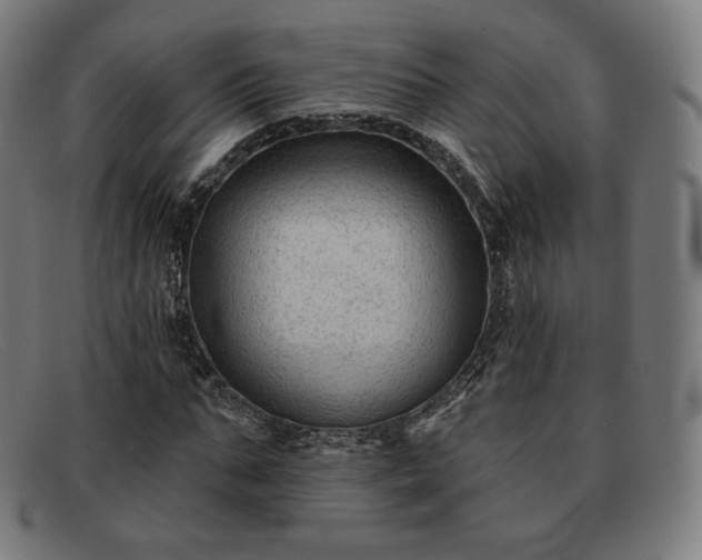 X0000091890871200709121438