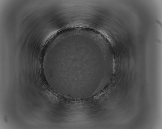 X0000091890872200709121438