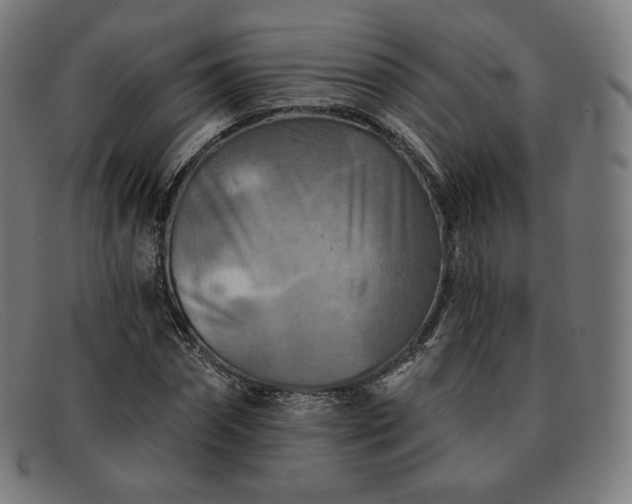 X0000091890874200709121438