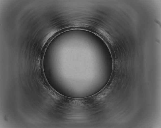 X0000091890875200709121438