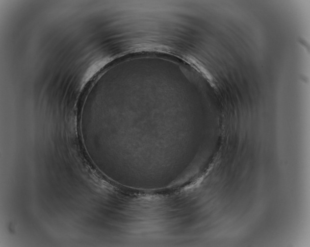 X0000091890877200709121438