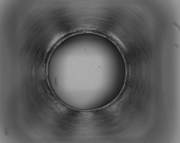 X0000091890878200709121438