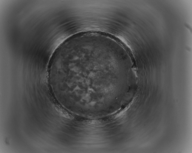X0000091890879200709121438