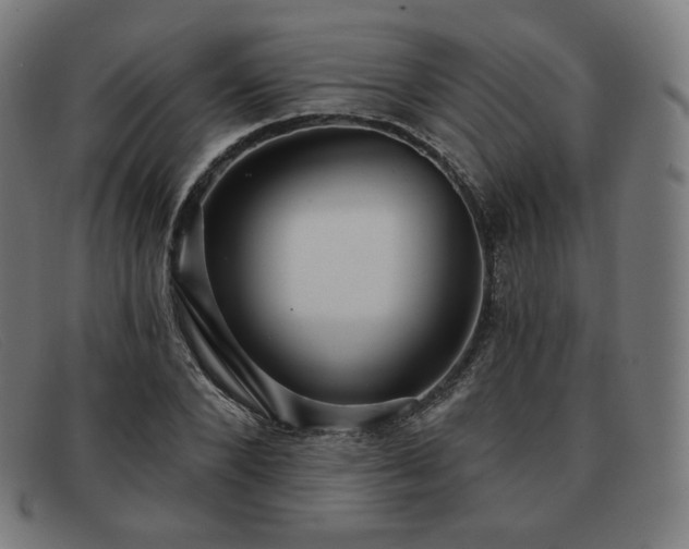 X0000091890880200709121438