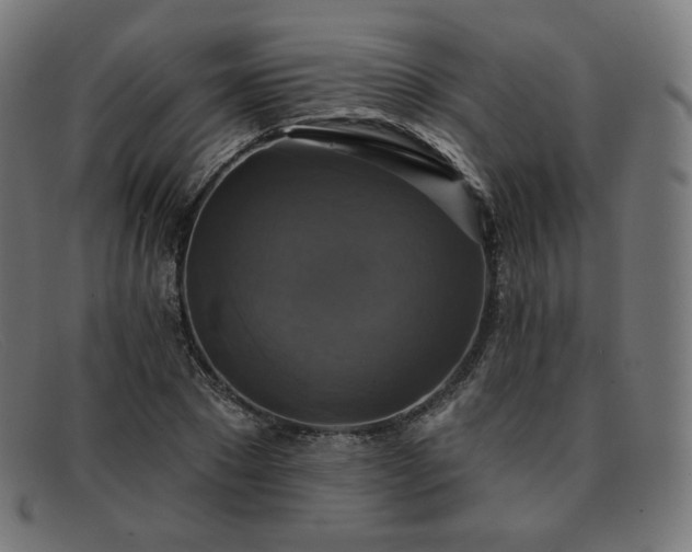 X0000091890881200709121438