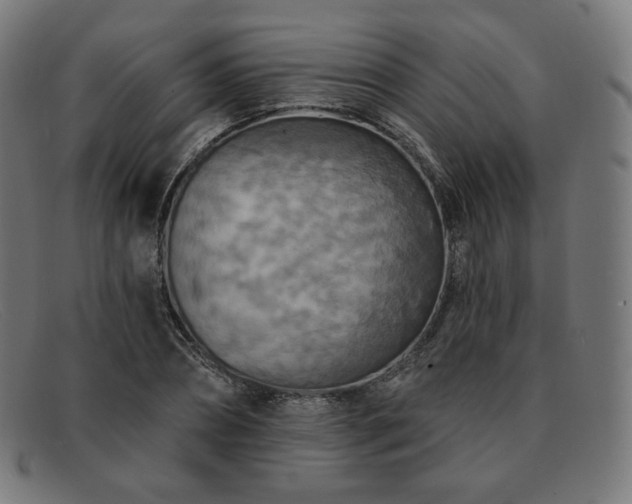 X0000091890882200709121438