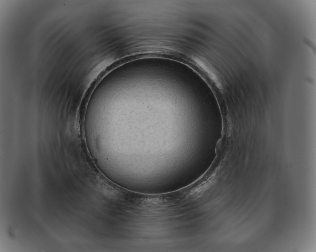 X0000091890883200709121438