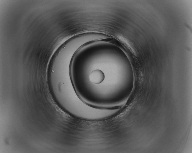 X0000091890884200709121438