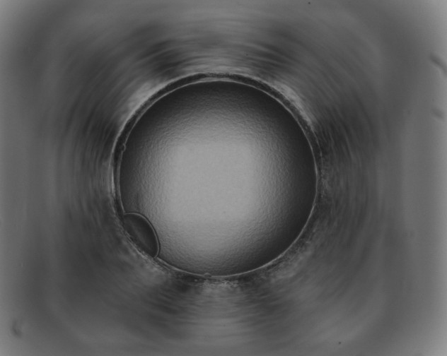 X0000091890887200709121438
