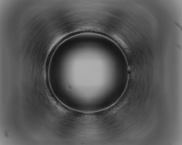 X0000091890888200709121438