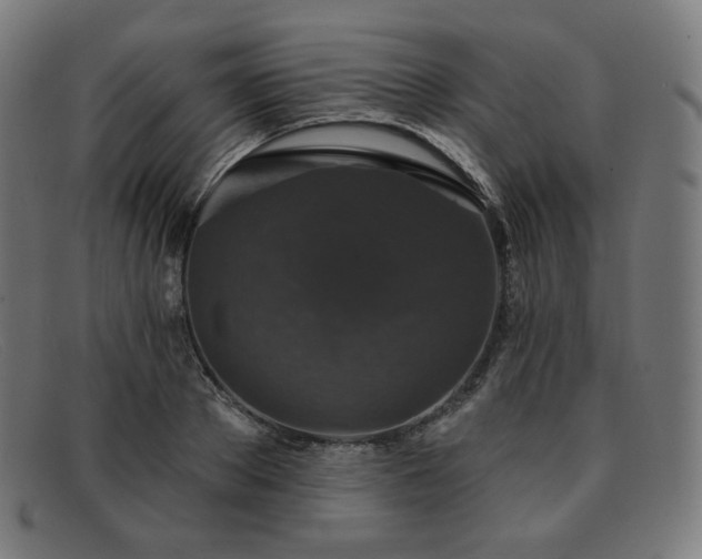 X0000091890889200709121438