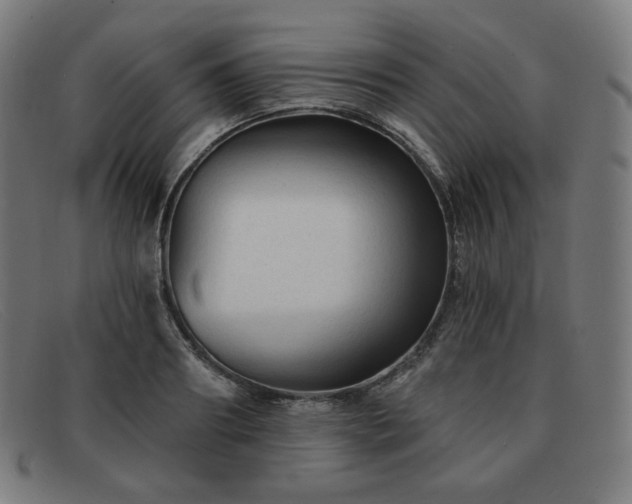 X0000091890890200709121438