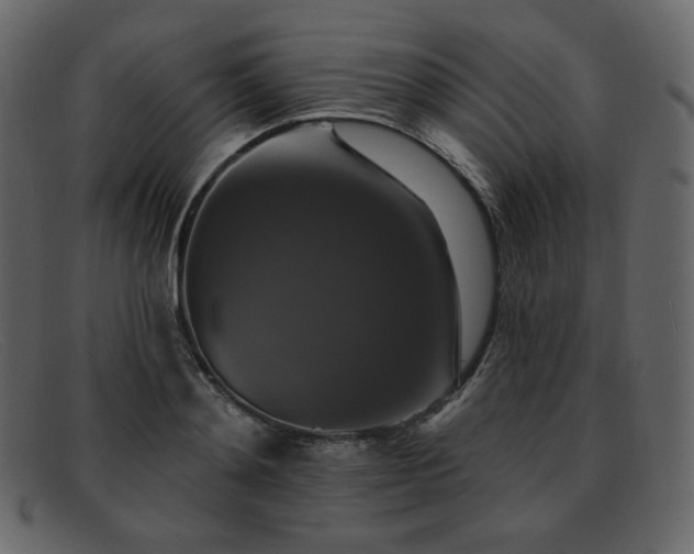 X0000091890892200709121438
