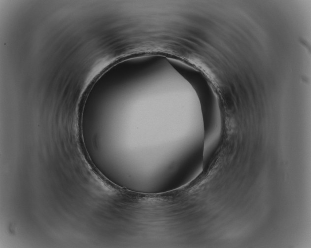 X0000091890894200709121438