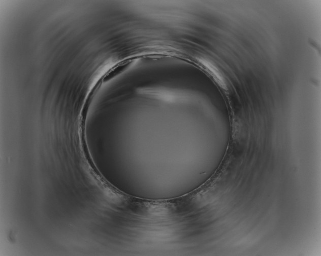 X0000091890899200709121438