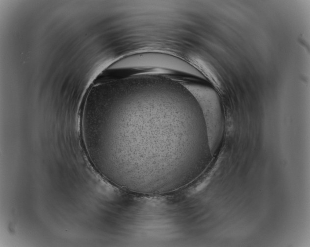 X0000091890900200709121438