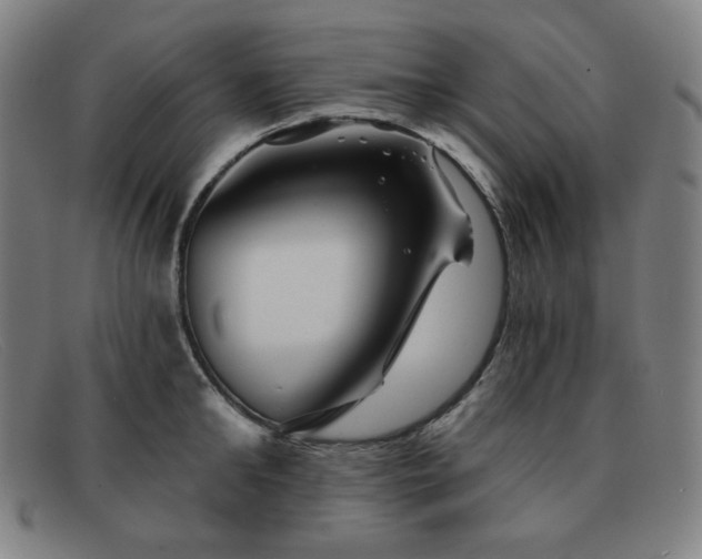 X0000091890902200709121438