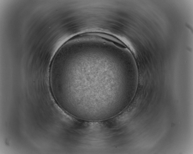 X0000091890903200709121438