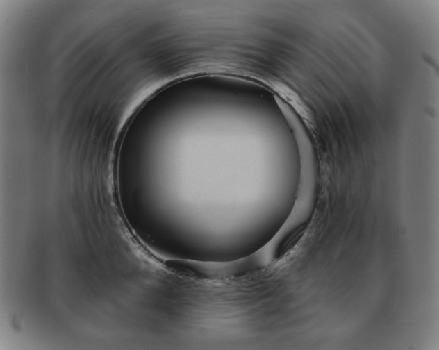 X0000091890904200709121437