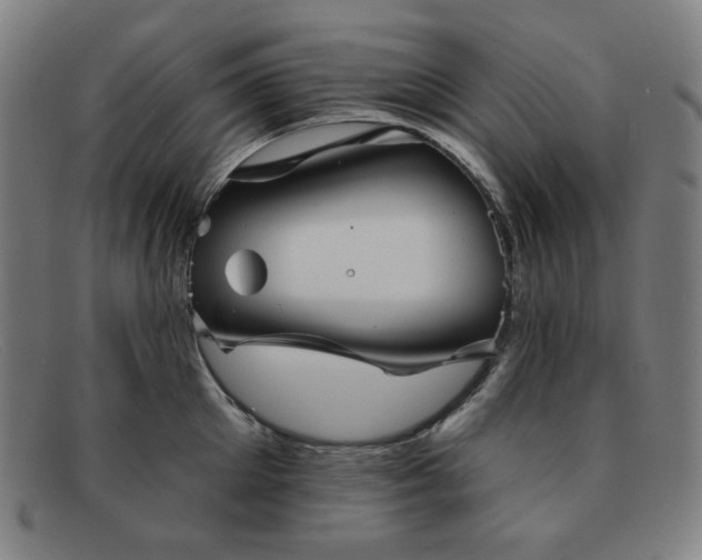 X0000091890905200709121437