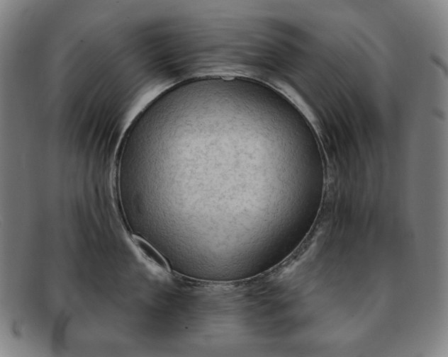 X0000091890909200709121437