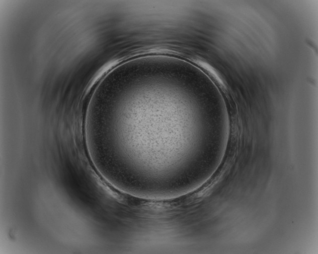 X0000091890910200709121437
