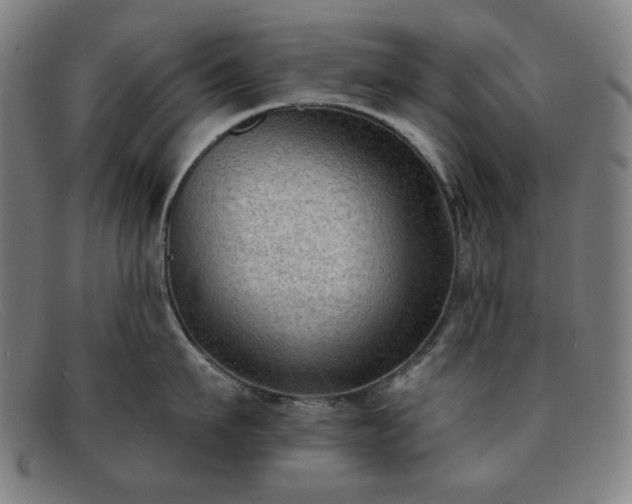 X0000091890911200709121437