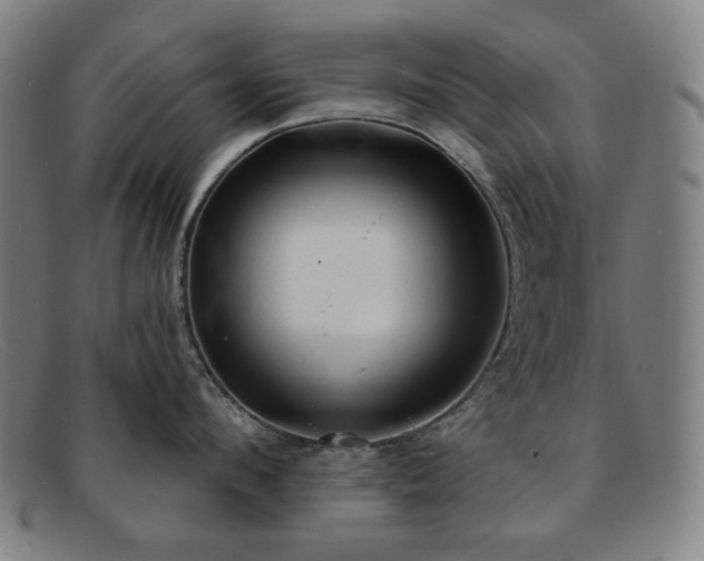 X0000091890912200709121437