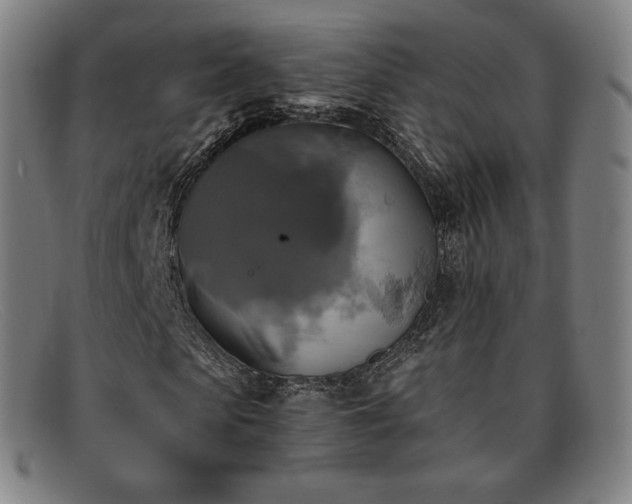 X0000091890913200709121437