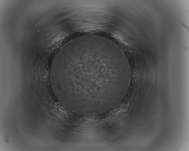 X0000091890917200709121437