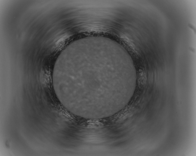 X0000091890918200709121437