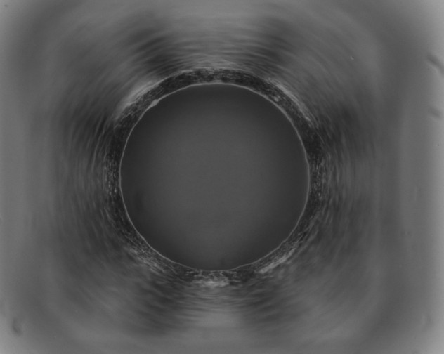 X0000091890919200709121437