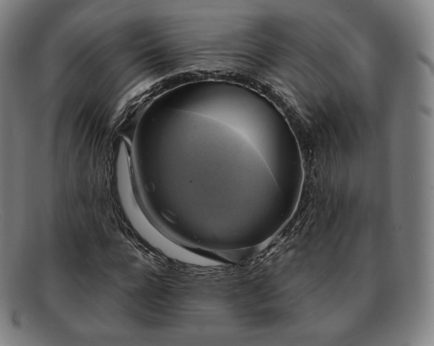 X0000091890920200709121437