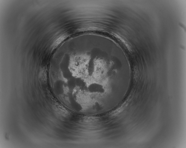 X0000091890921200709121437