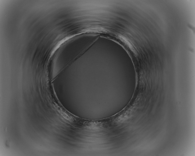 X0000091890923200709121437
