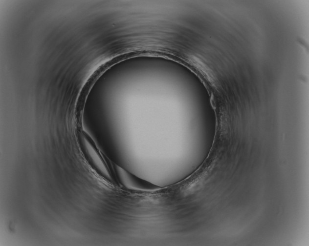 X0000091890924200709121437