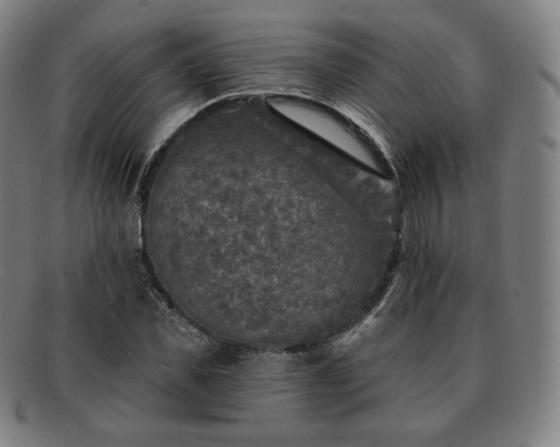 X0000091890925200709121437