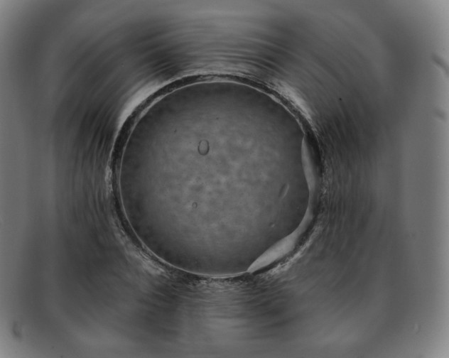 X0000091890928200709121437