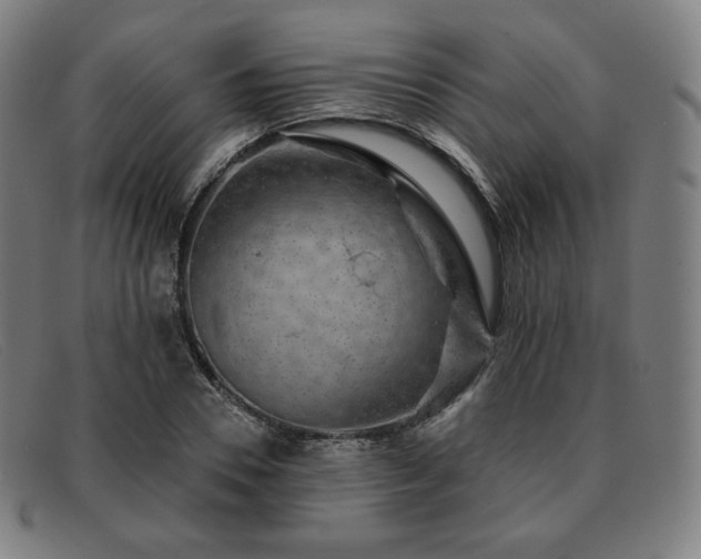 X0000091890930200709121437